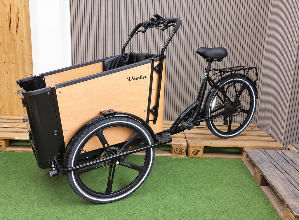 Cargo Bike SUN - 2 Posti - Usata