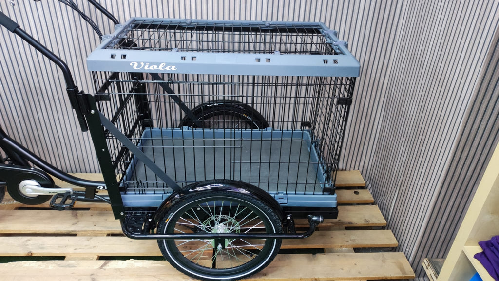 Cargo Bike Canguro Dog