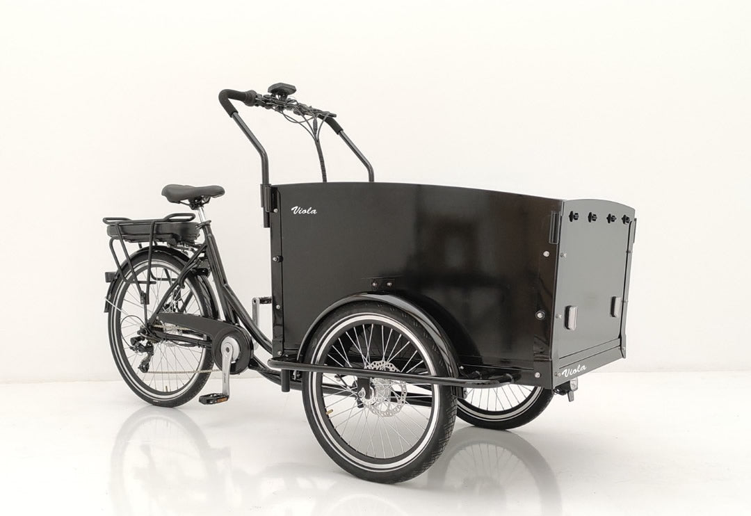 Cargo Bike Canguro 250W (Black)