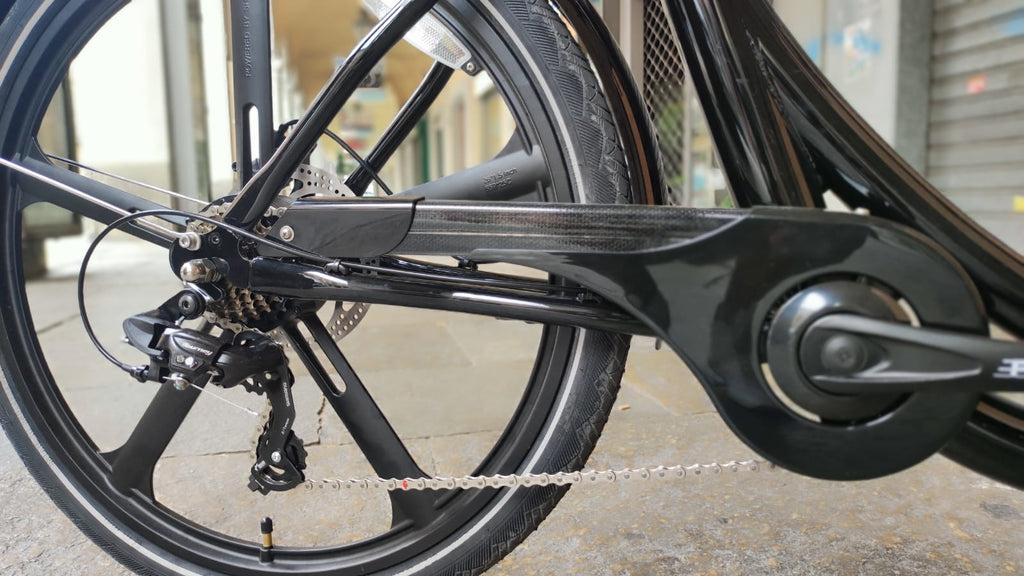 Cargo Bike CURVY Motore Post.