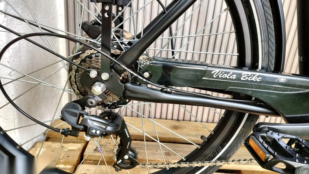 Lastenfahrrad CURVY, Heckmotor