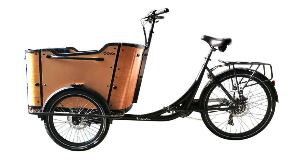 Cargo Bike CURVY Motore Post.