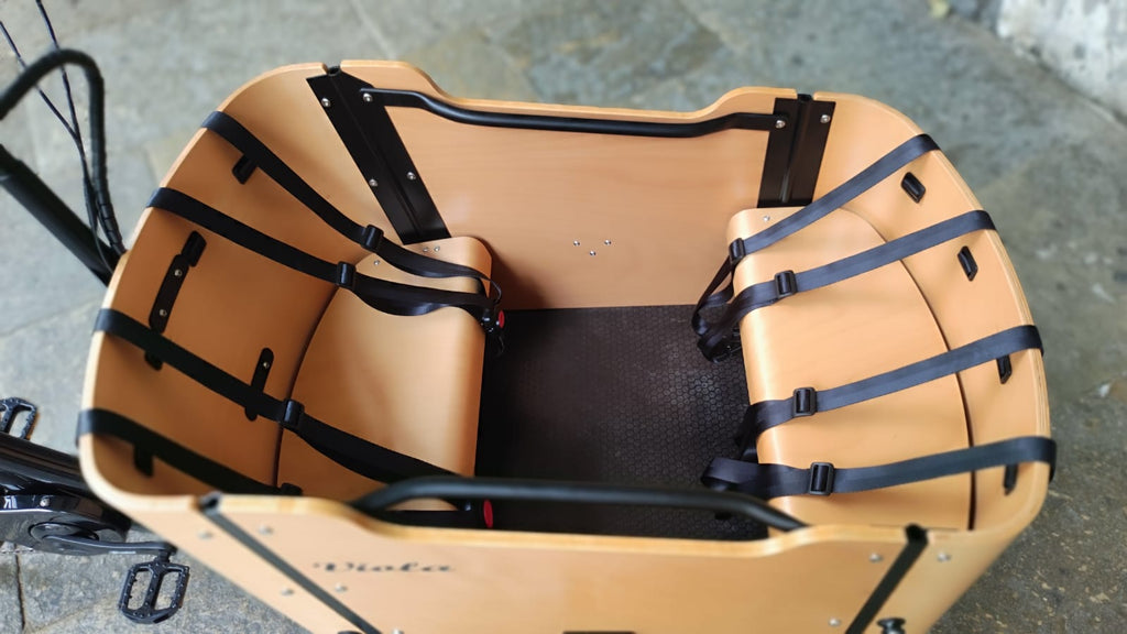 Cargo Bike CURVY Motore Post.