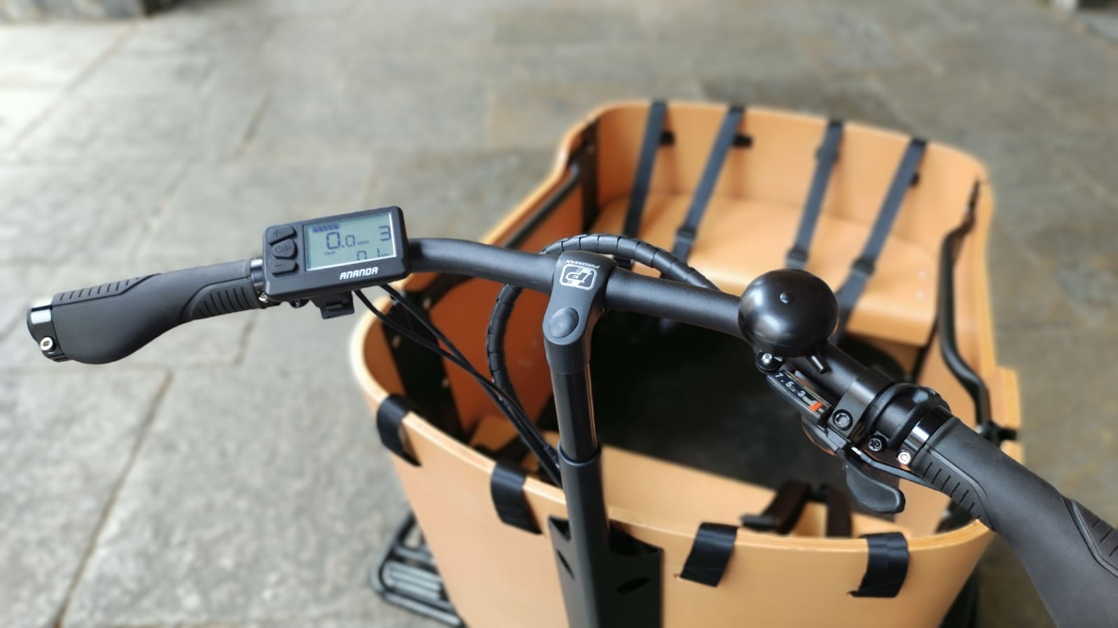 Cargo Bike CURVY Motore Post.