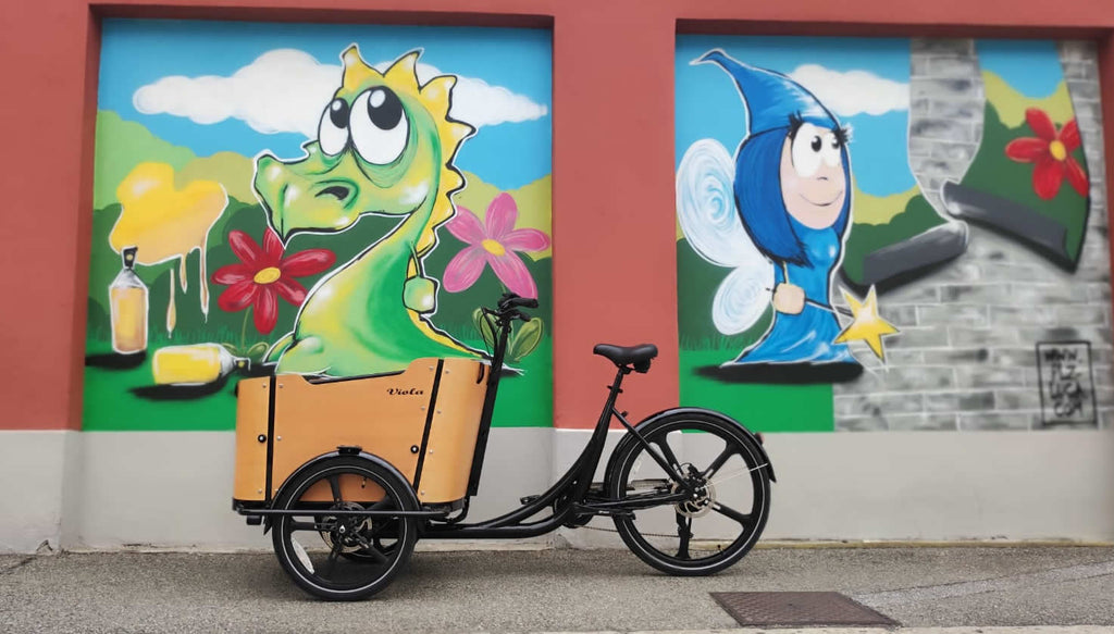 Cargo Bike CURVY Motore Post.