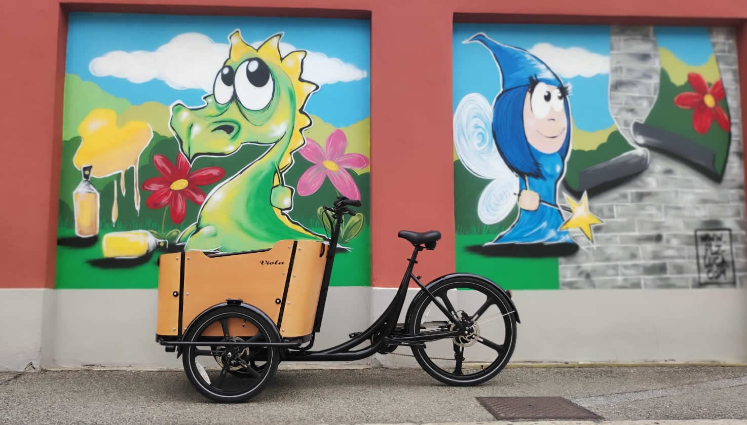 Cargo Bike CURVY Motore Post.
