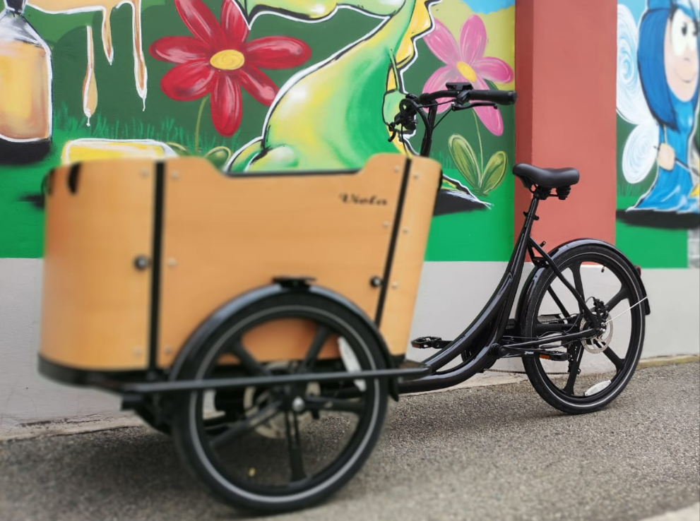 Cargo Bike CURVY Motore Post.