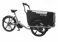 Cargo Bike Moon