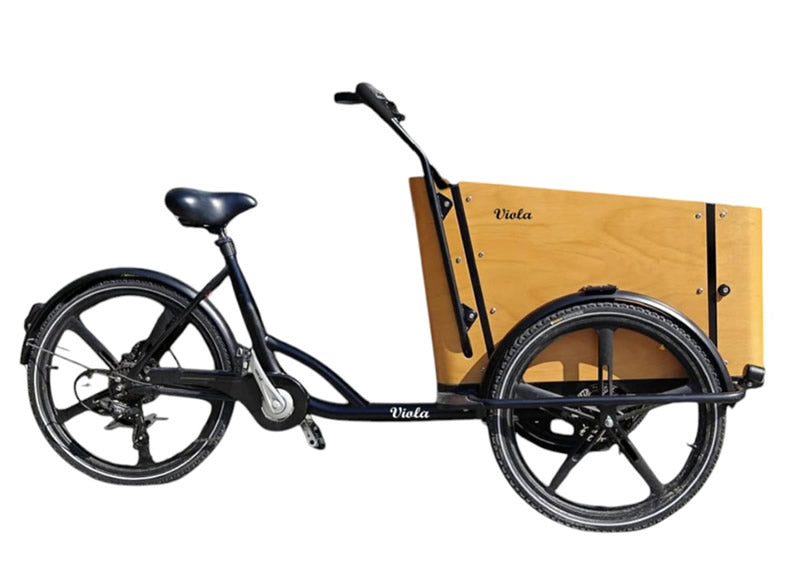 Elektrisches Lastenfahrrad SUN 4-Sitzer