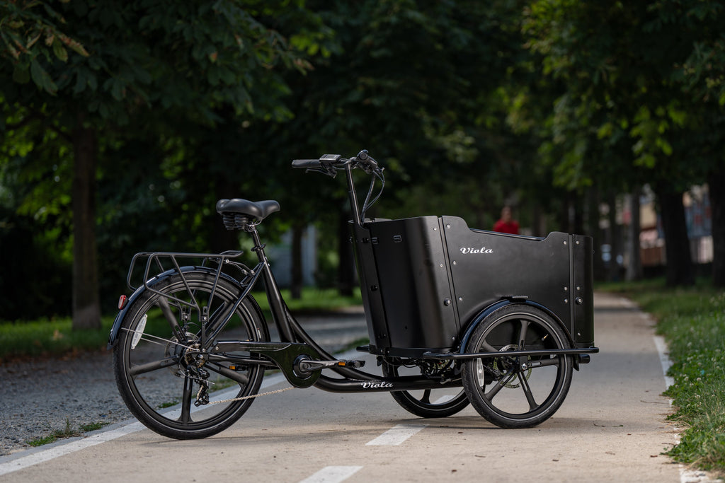 Cargo Bike CURVY Motore Post.