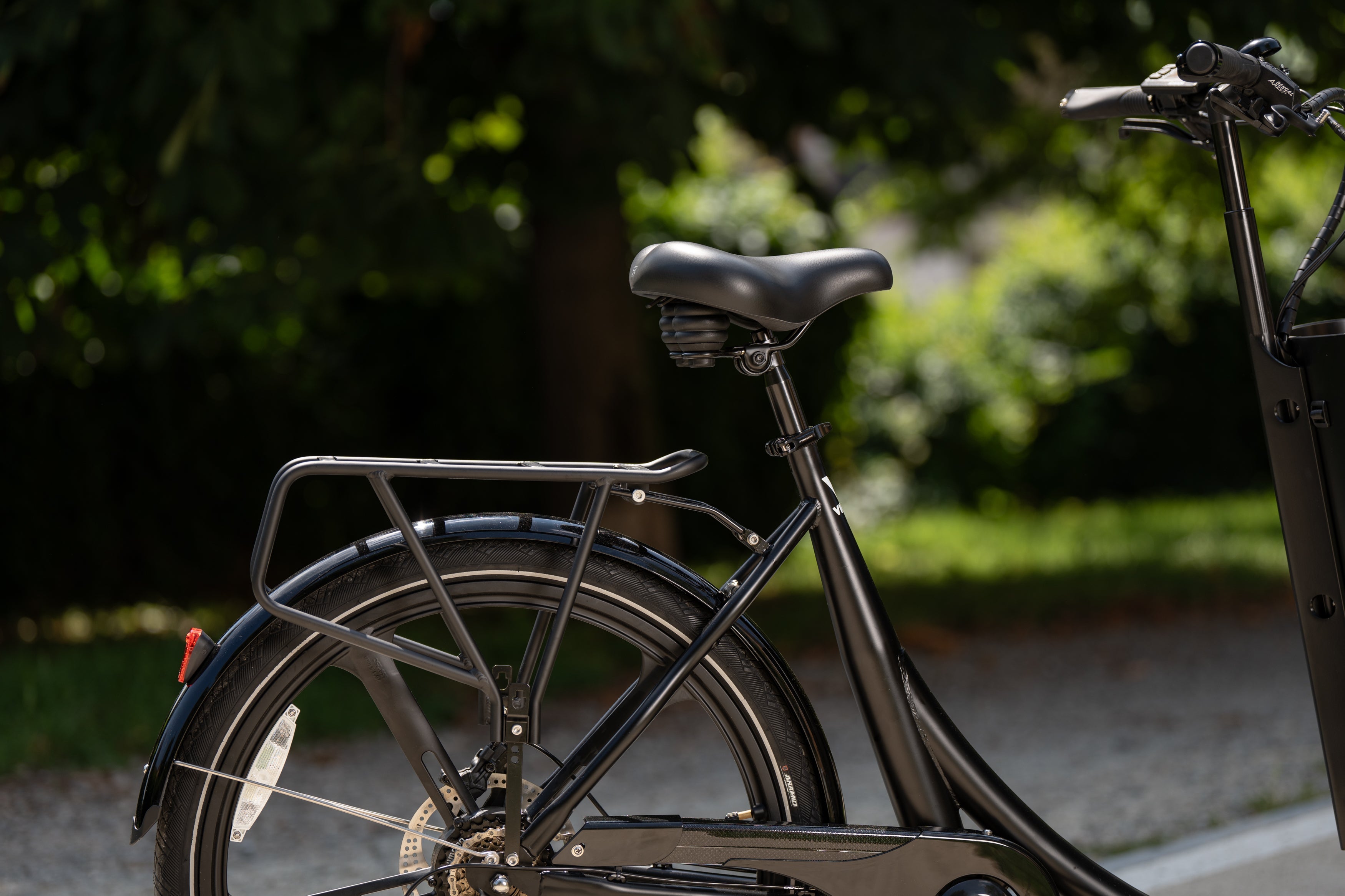 Cargo Bike CURVY Motore Post.