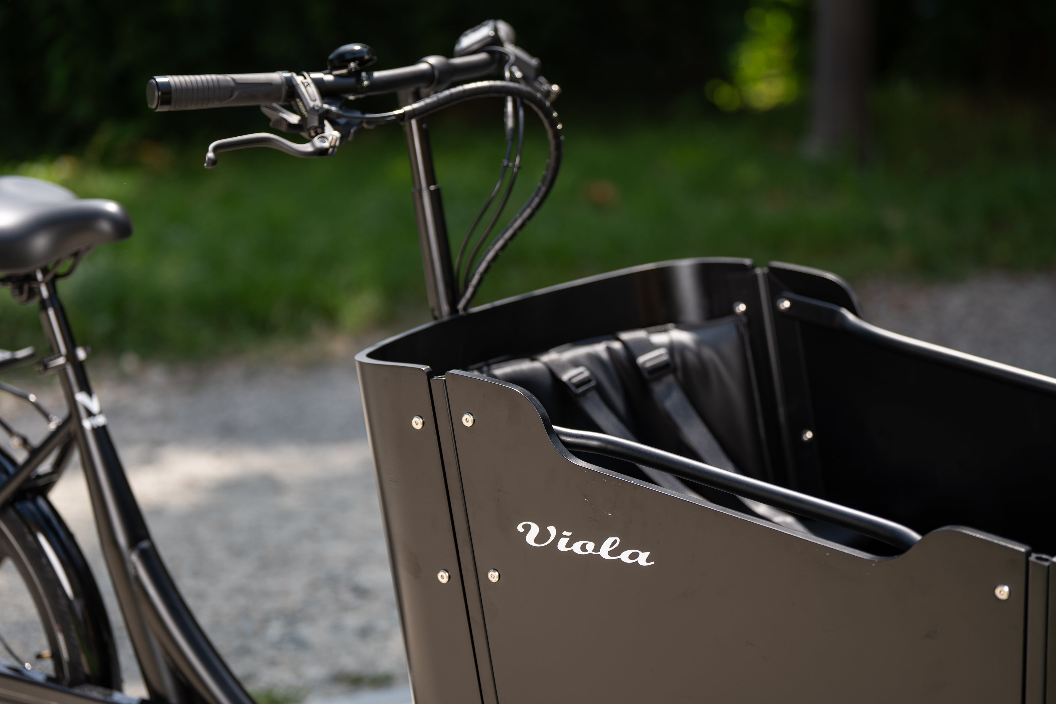 Cargo Bike CURVY Motore Post.