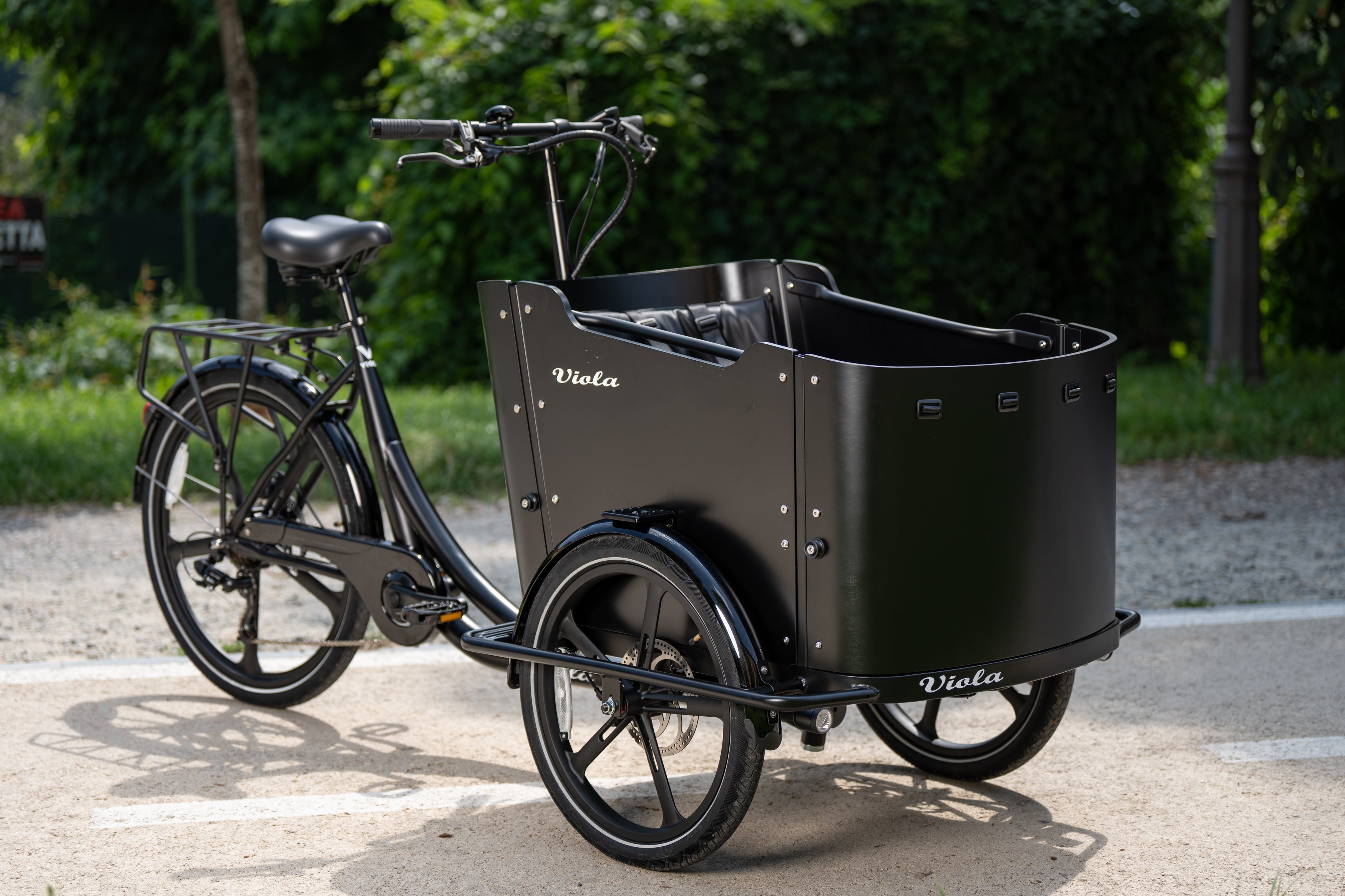 Cargo Bike CURVY Motore Post.
