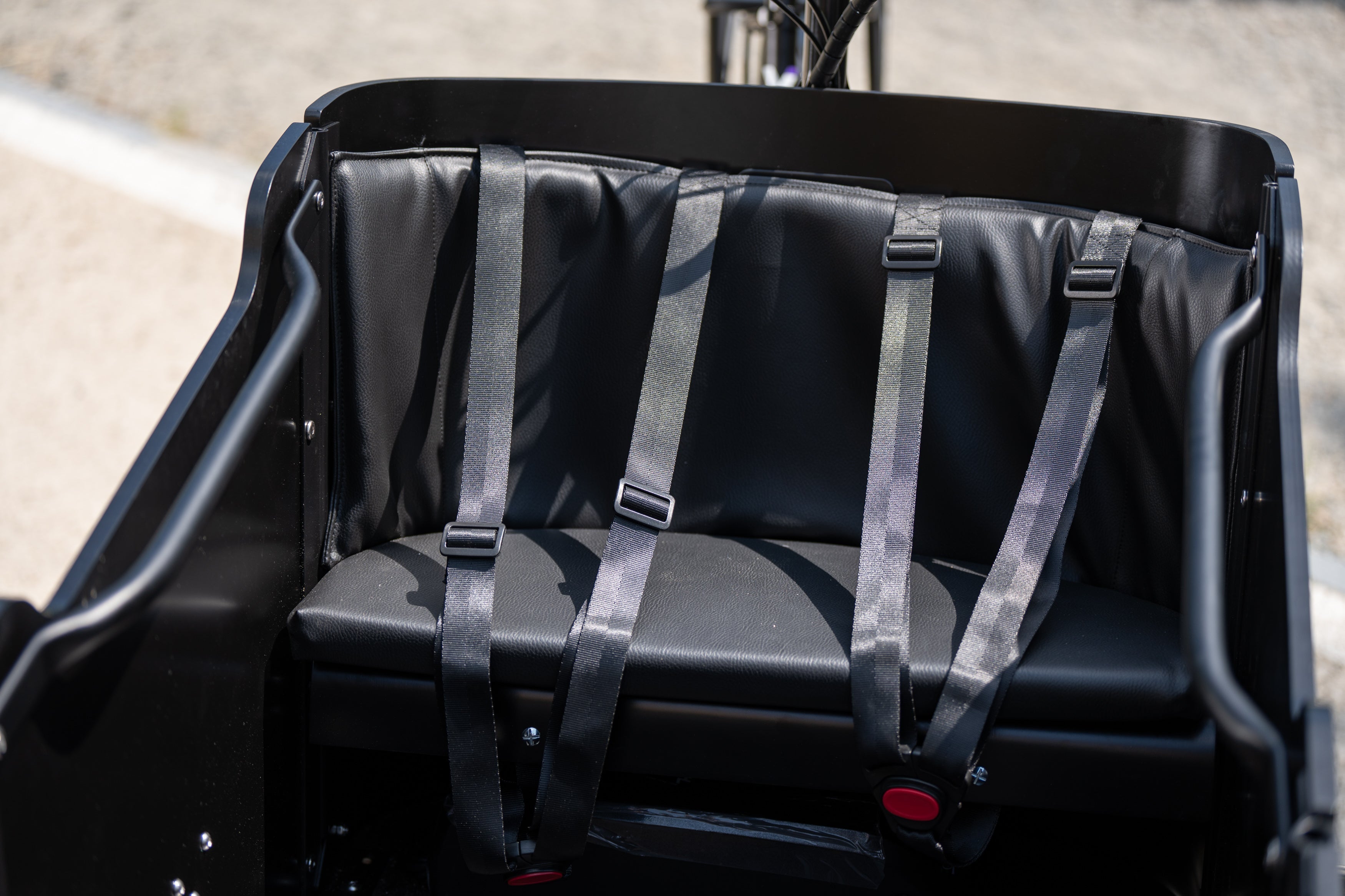 Cargo Bike CURVY Motore Post.