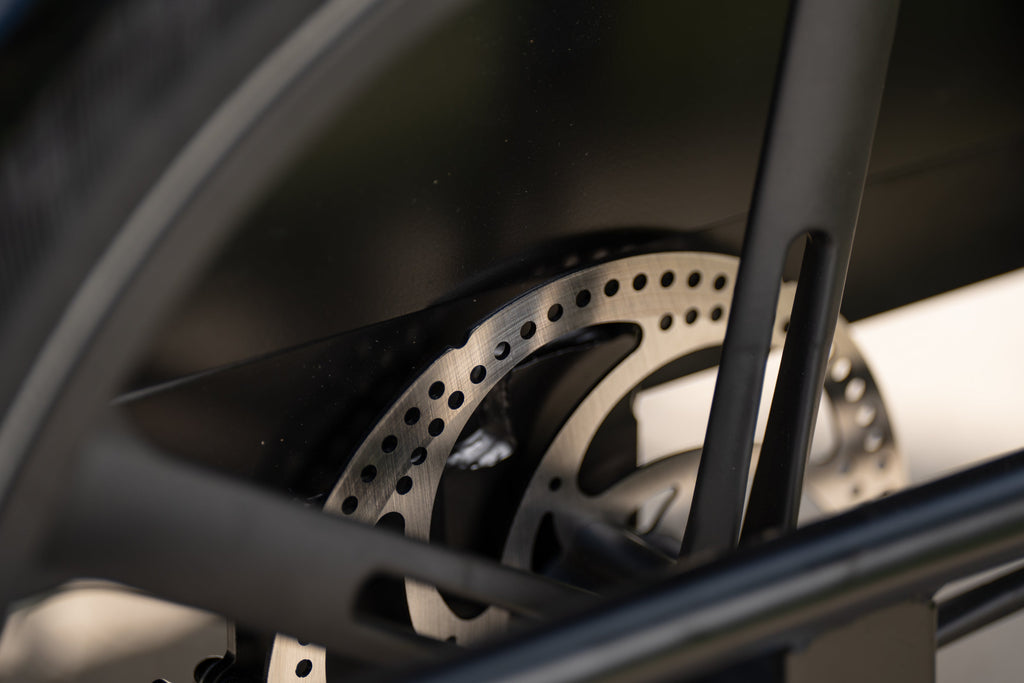 Cargo Bike CURVY Motore Post.