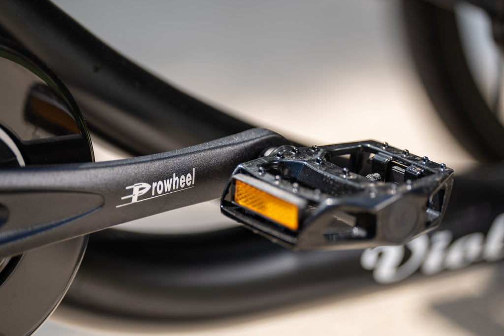 Cargo Bike CURVY Motore Post.