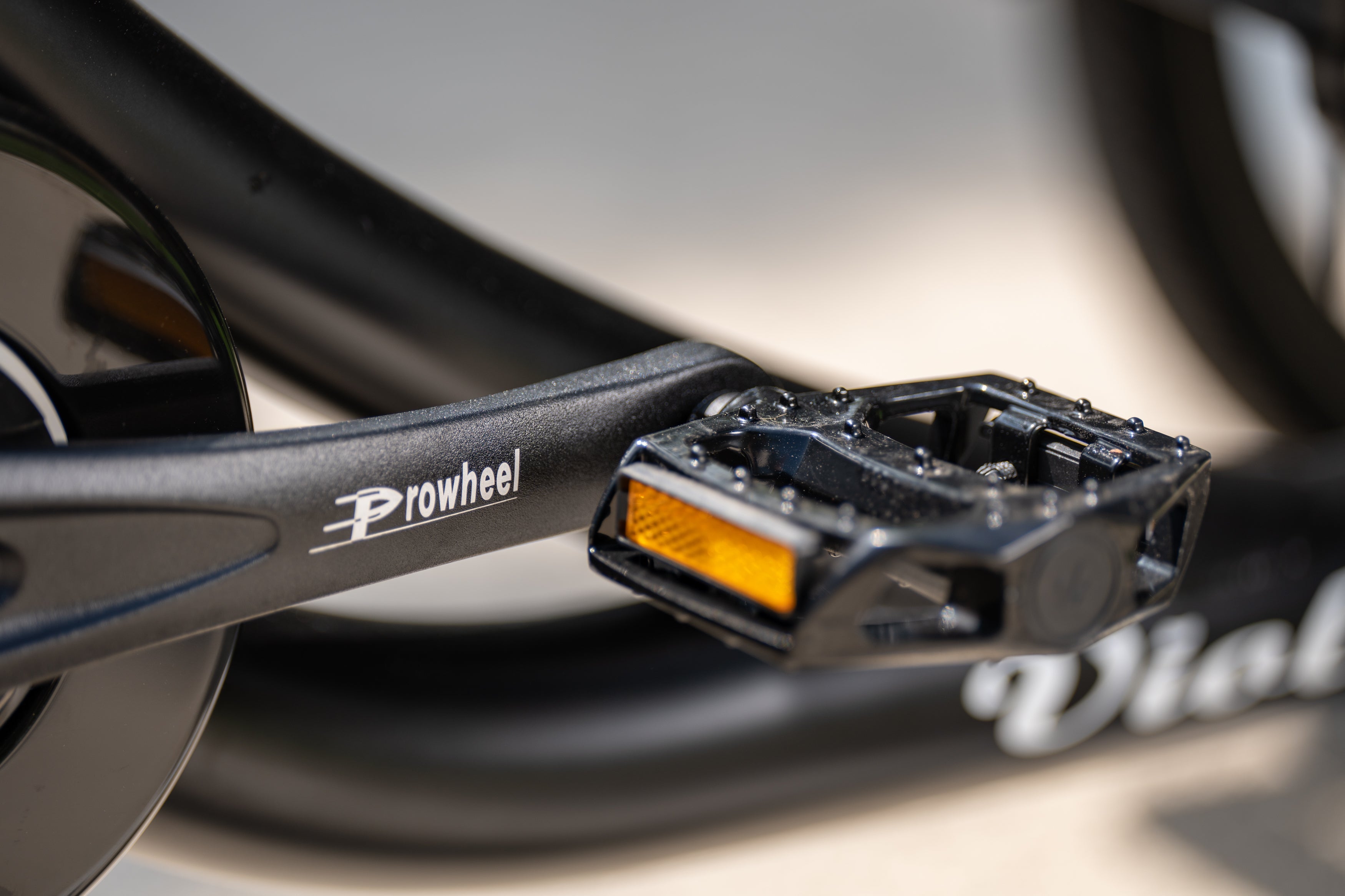 Cargo Bike CURVY Motore Post.