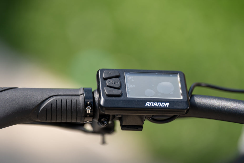 Cargo Bike CURVY Motore Post.