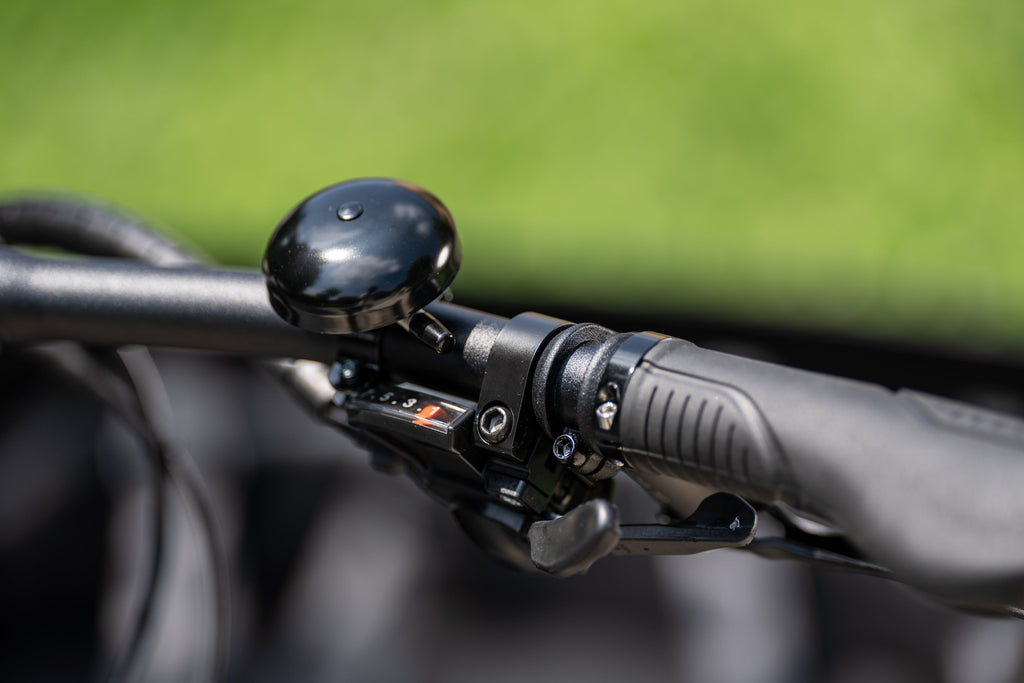 Cargo Bike CURVY Motore Post.