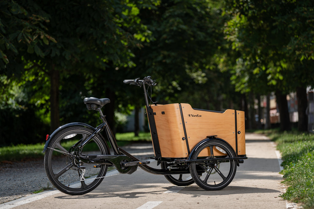 Cargo Bike CURVY motore centr.