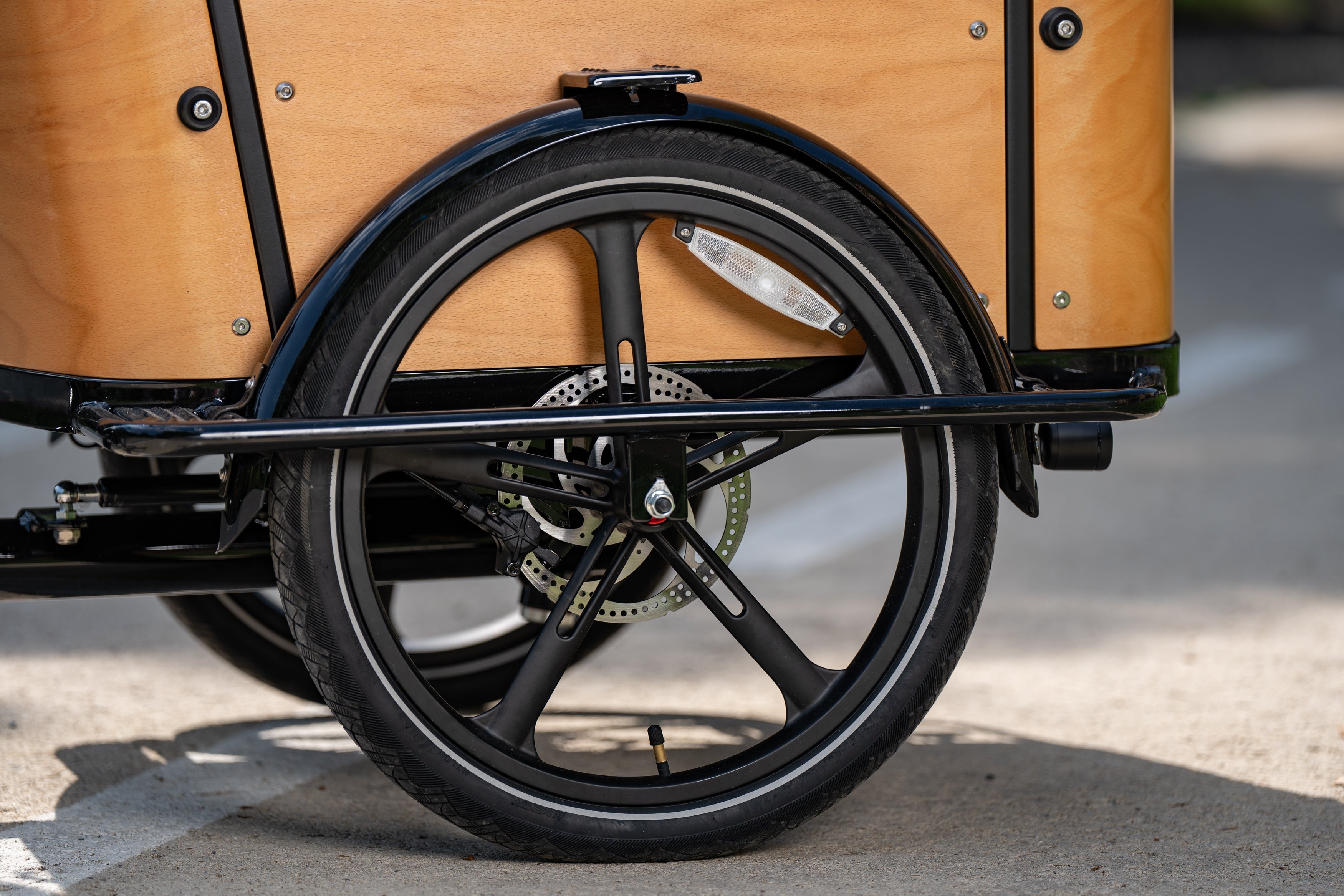 Cargo Bike CURVY motore centr.