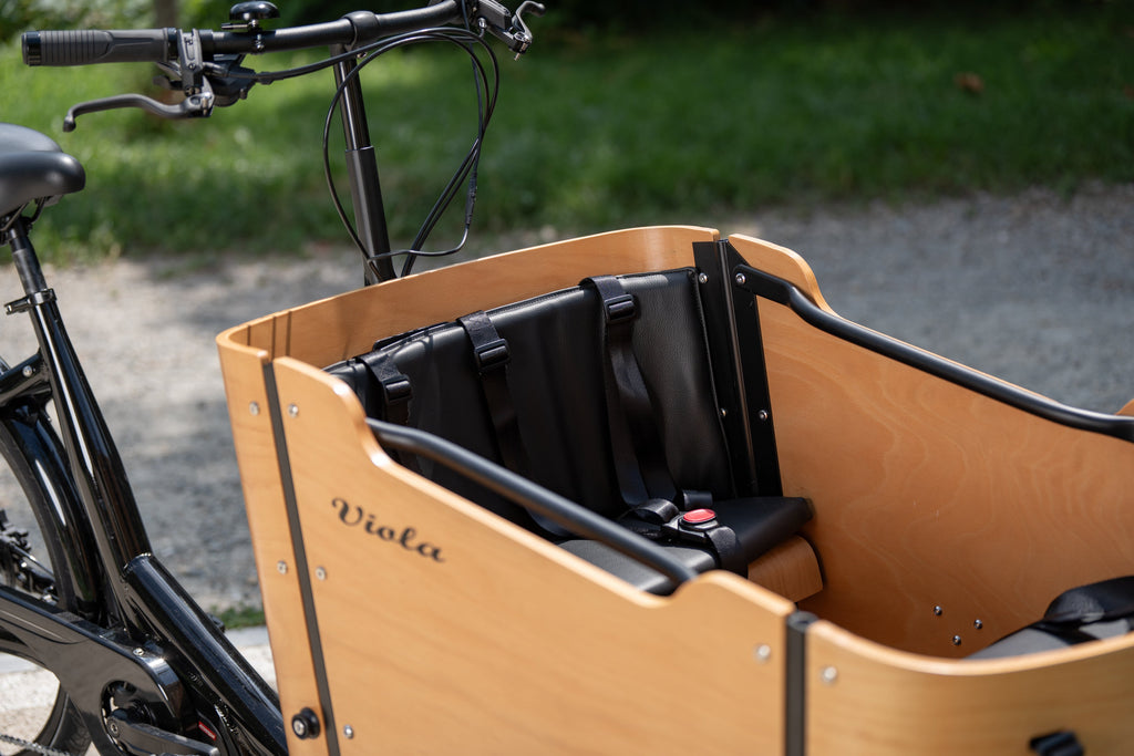 Cargo Bike CURVY motore centr.