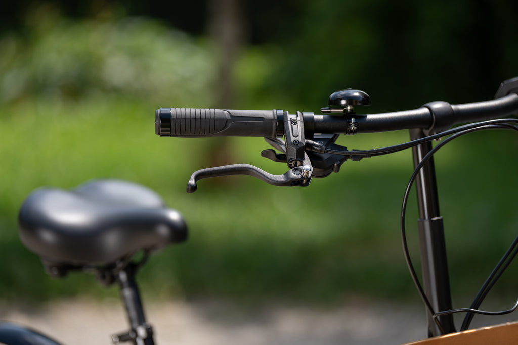 Cargo Bike CURVY motore centr.