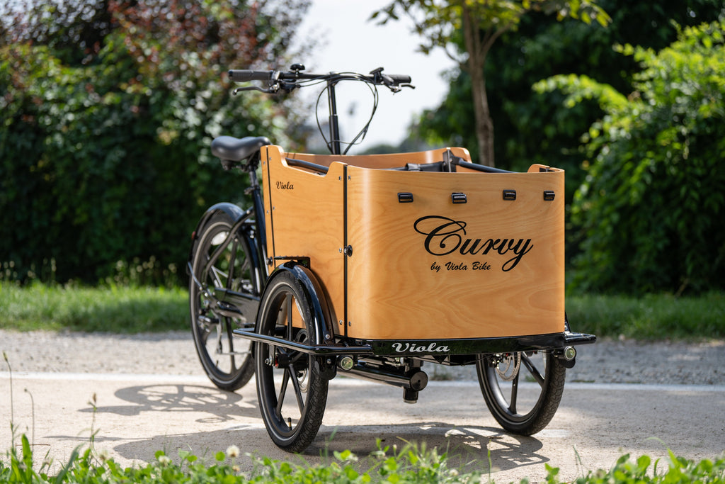 Cargo Bike CURVY motore centr.