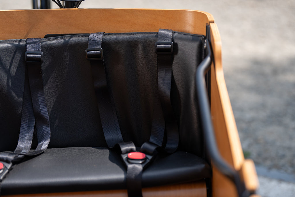 Cargo Bike CURVY motore centr.