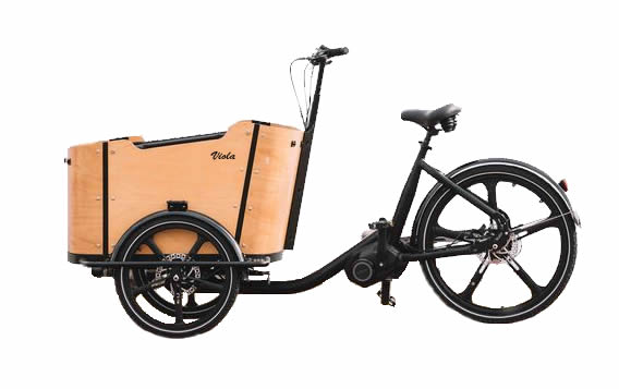 Cargo Bike CURVY motore centr.