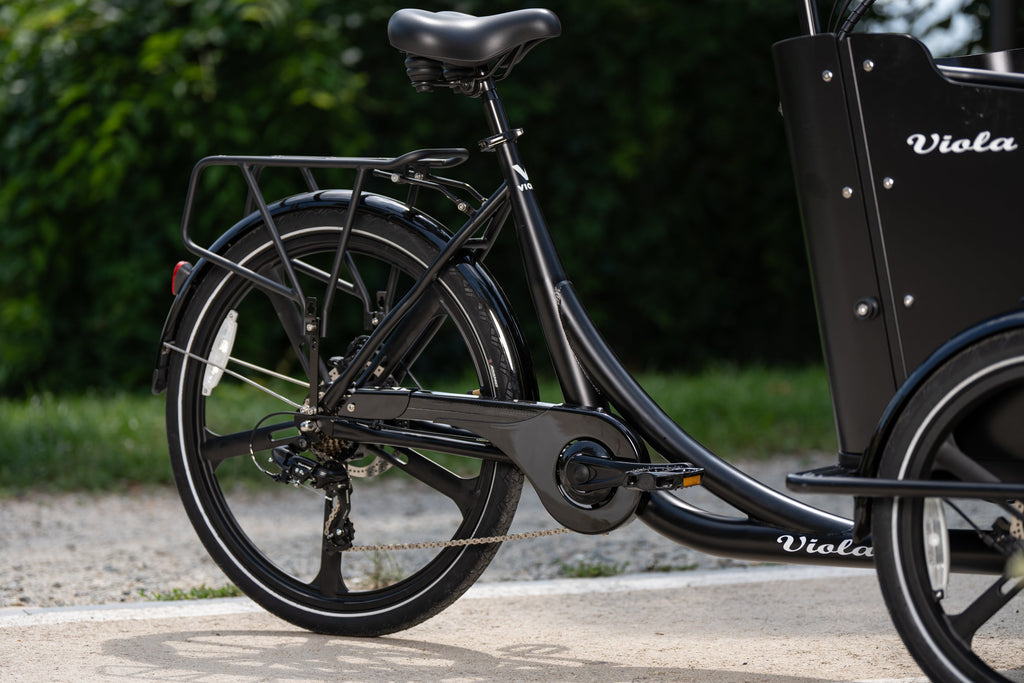 Porta pachi posteriore Cargo Bike Curvy, Sun, Moon