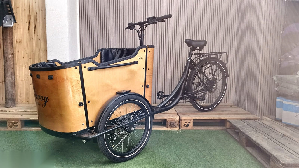 Lastenfahrrad CURVY, Heckmotor