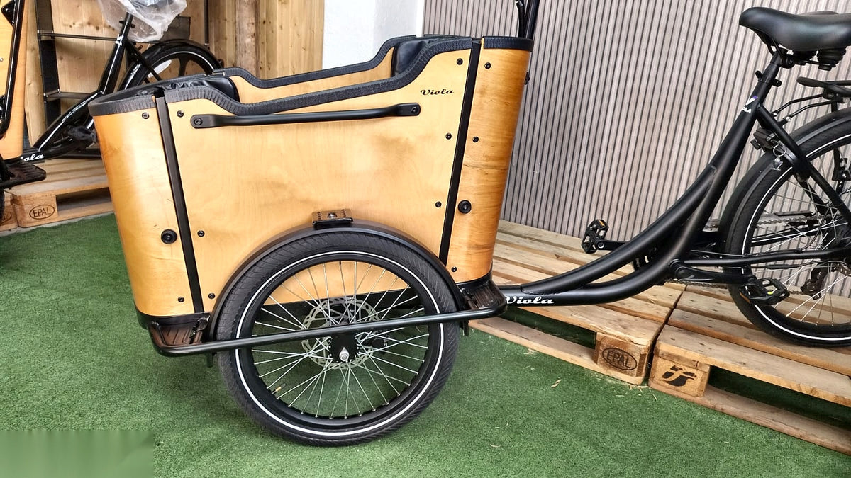 Lastenfahrrad CURVY, Heckmotor