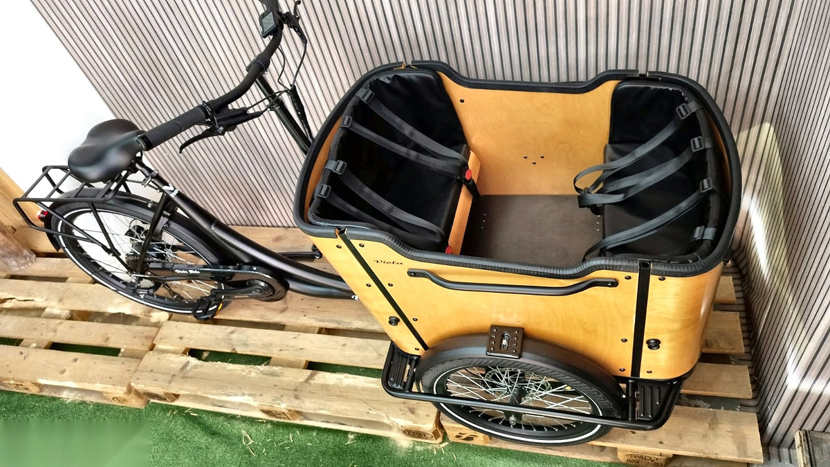 Lastenfahrrad CURVY, Heckmotor