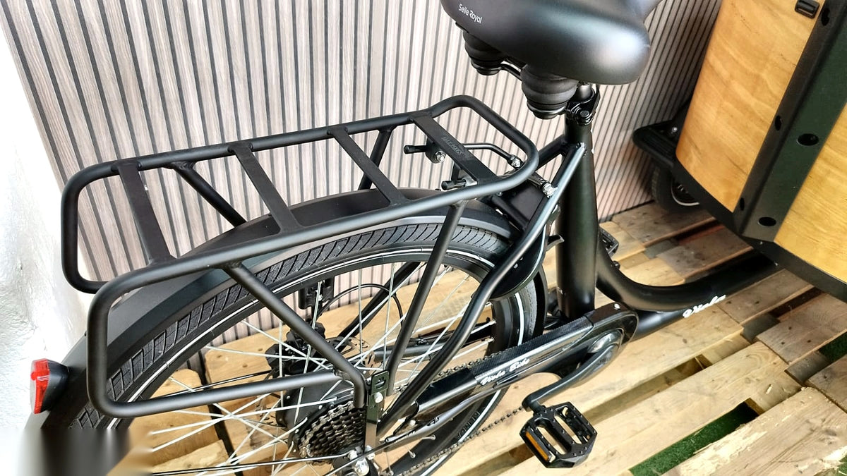 Lastenfahrrad CURVY, Heckmotor