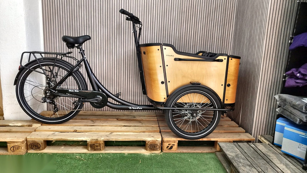 Lastenfahrrad CURVY, Heckmotor
