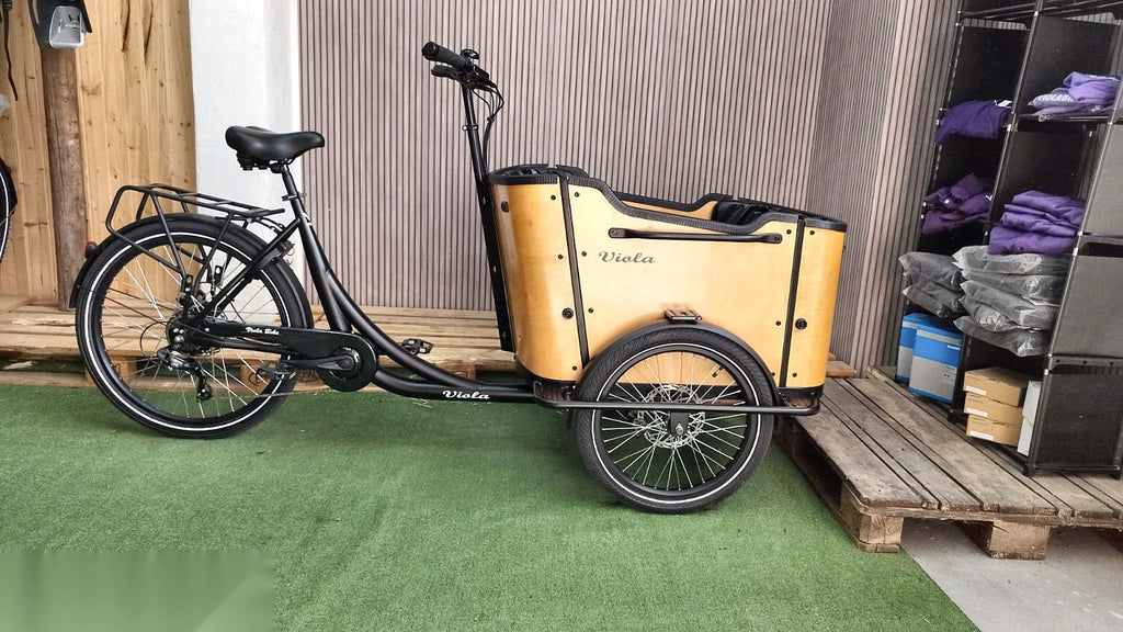 Lastenfahrrad CURVY, Heckmotor