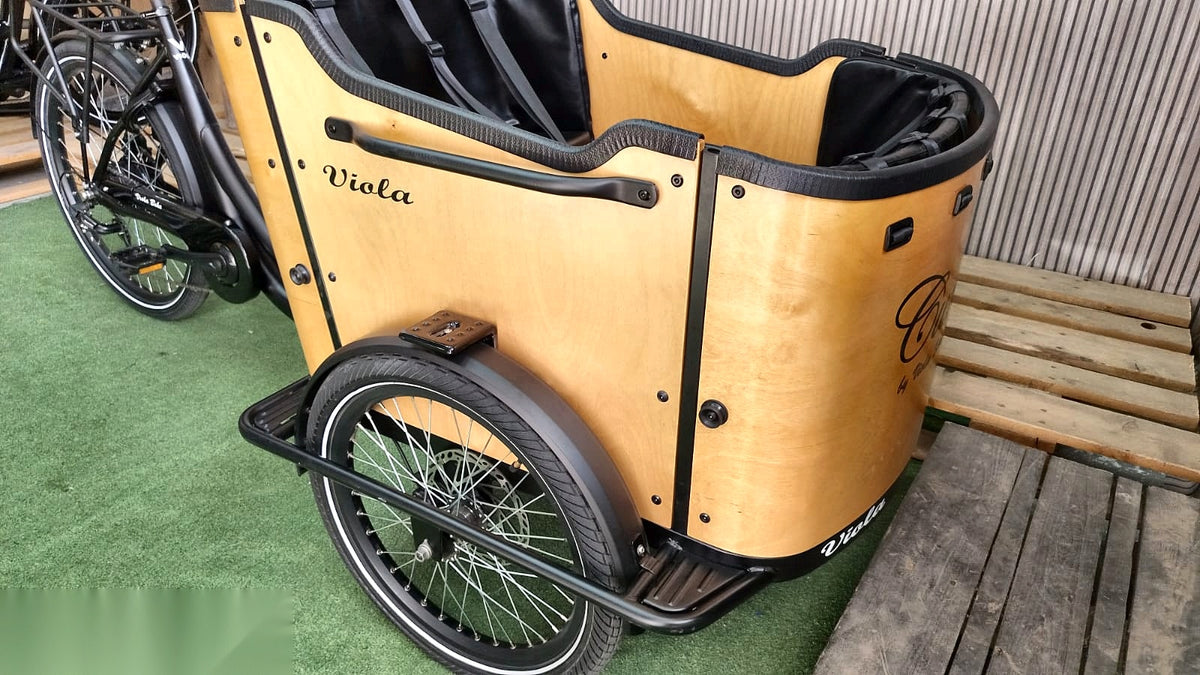 Lastenfahrrad CURVY, Heckmotor