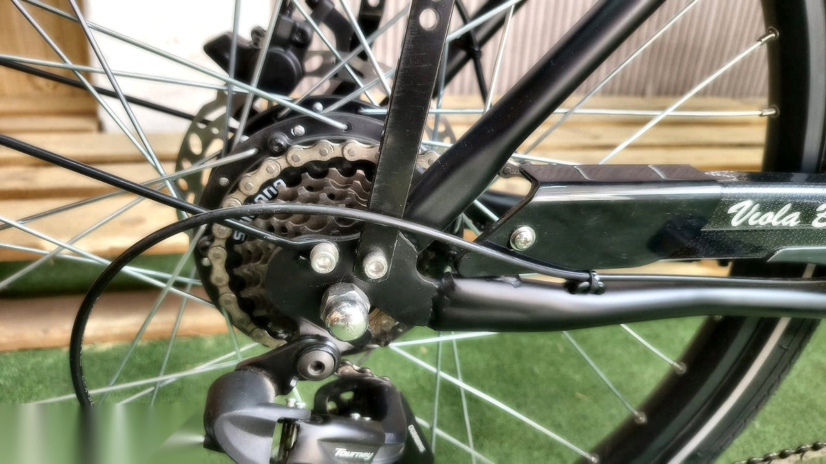 Lastenfahrrad CURVY, Heckmotor