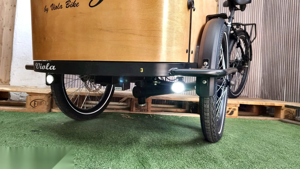 Lastenfahrrad CURVY, Heckmotor