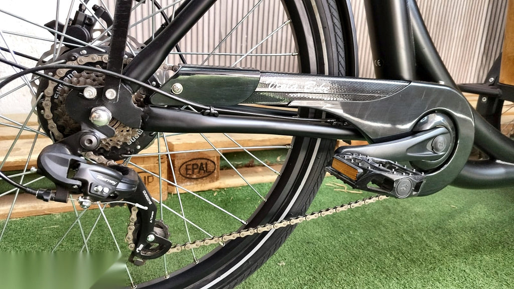Lastenfahrrad CURVY, Heckmotor