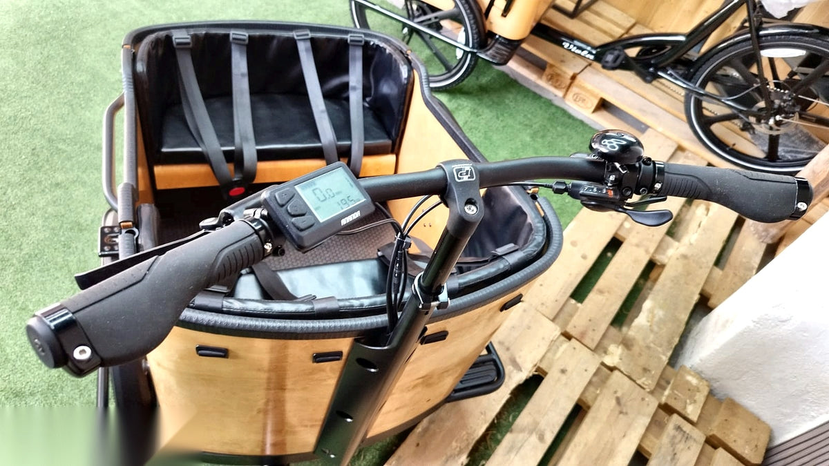 Lastenfahrrad CURVY, Heckmotor