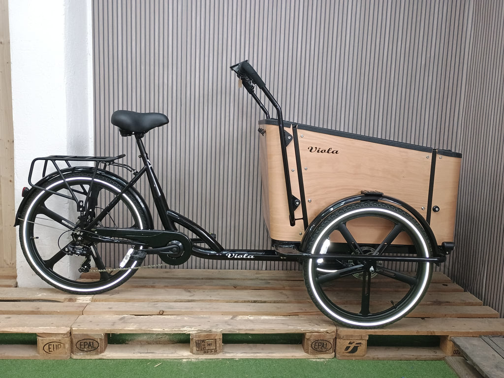 Cargo Bike SUN