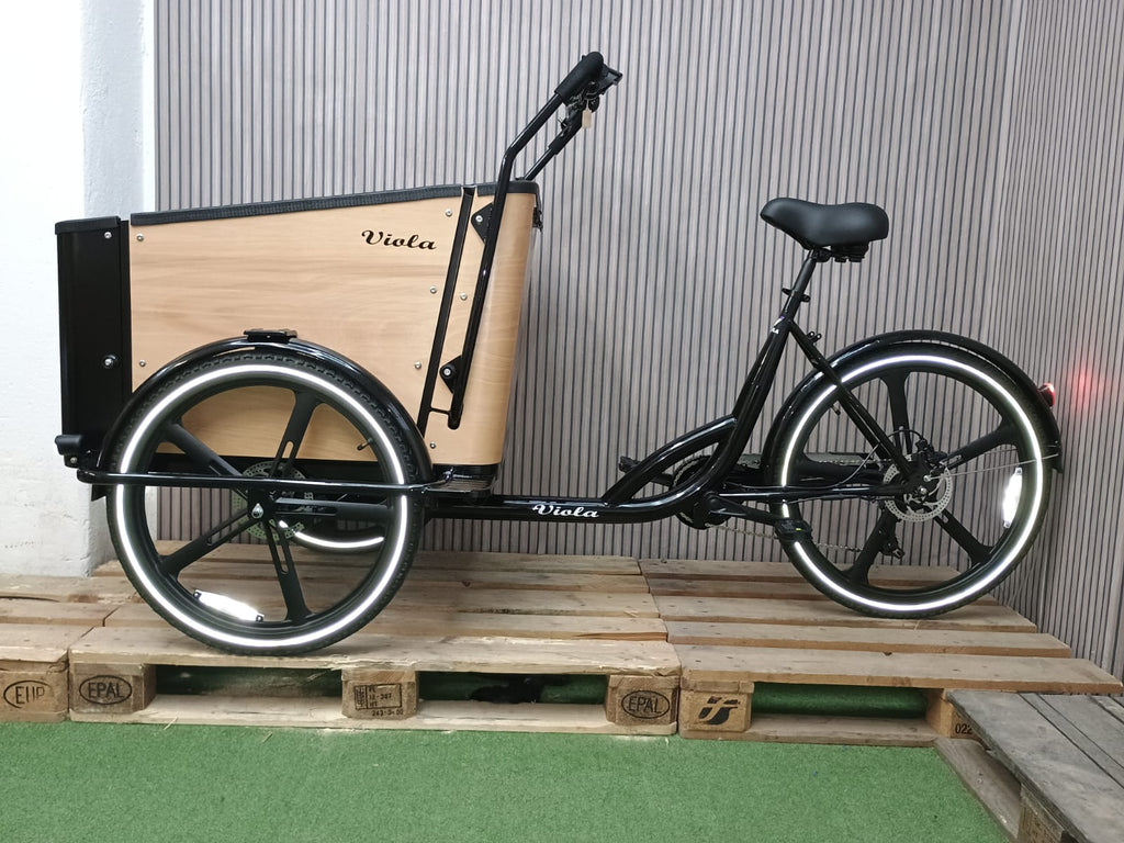 Cargo Bike Sun con Porta- 2 Post