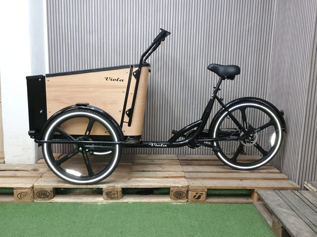Cargo Bike Sun con Porta- 2 Post