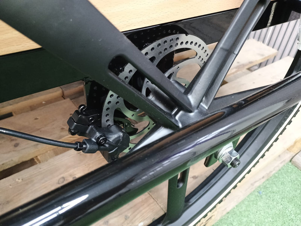 Cargo Bike Sun con Porta- 2 Post