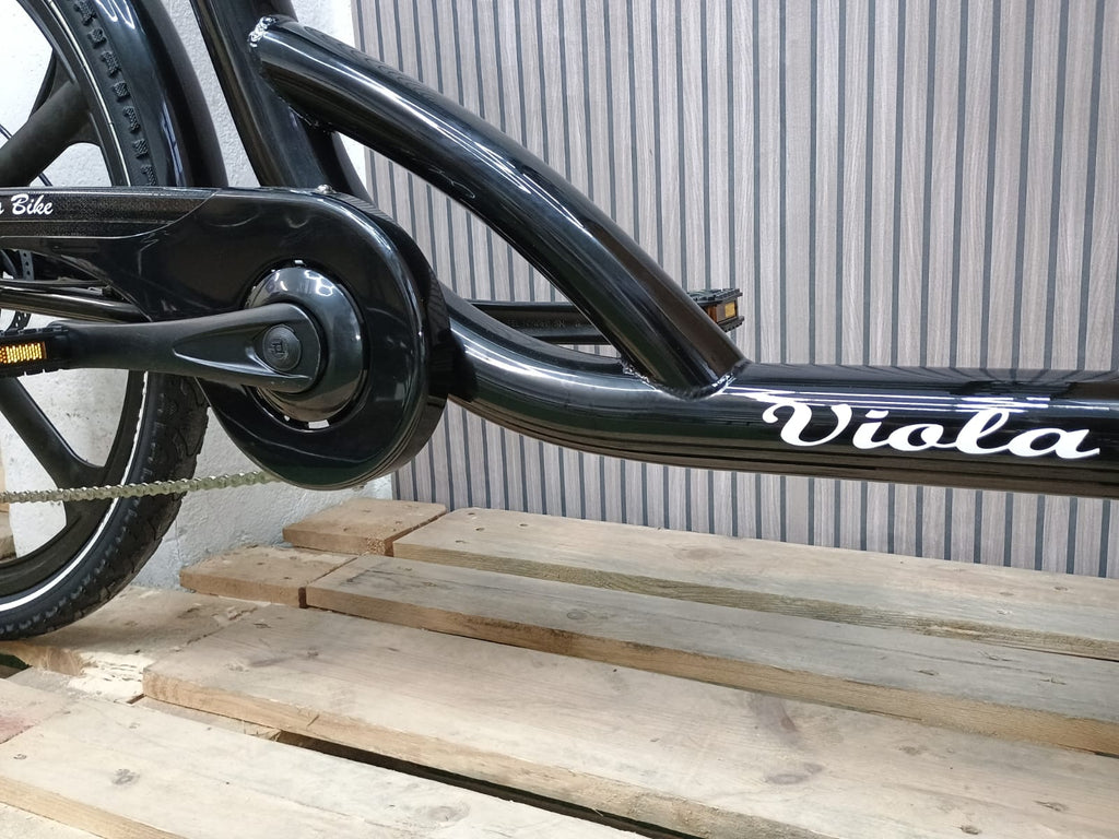 Cargo Bike Sun con Porta- 2 Post