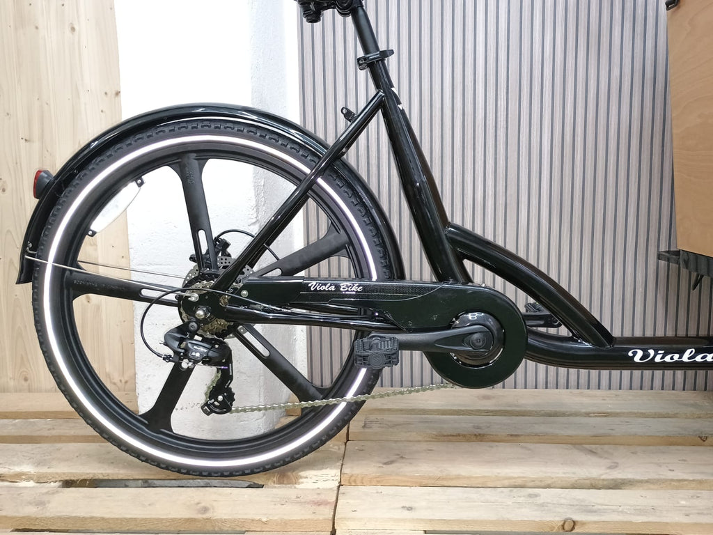 Cargo Bike Sun con Porta- 2 Post