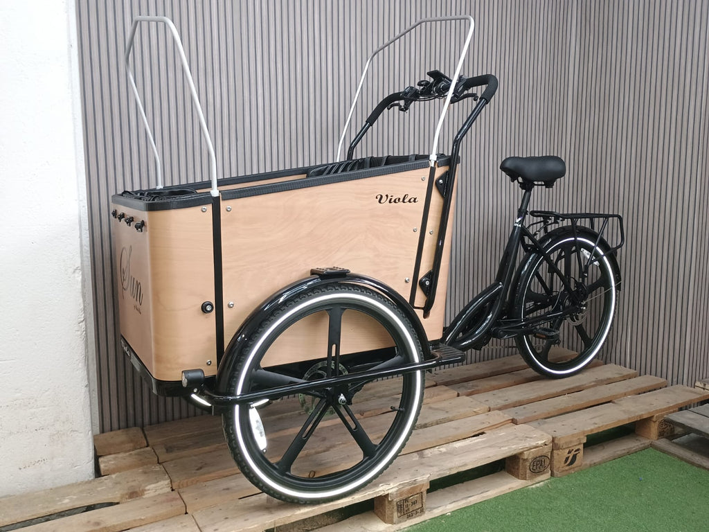 Cargo Bike Sun - 4 Post