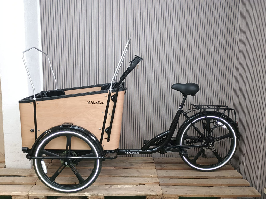 Cargo Bike Sun - 4 Post